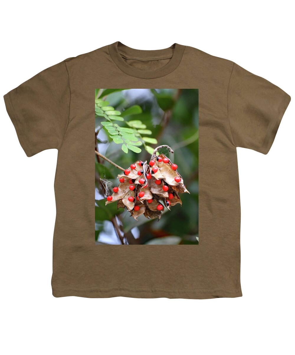Rosary Pea Youth T-Shirt featuring the photograph Rosary Pea Plant by David T Wilkinson