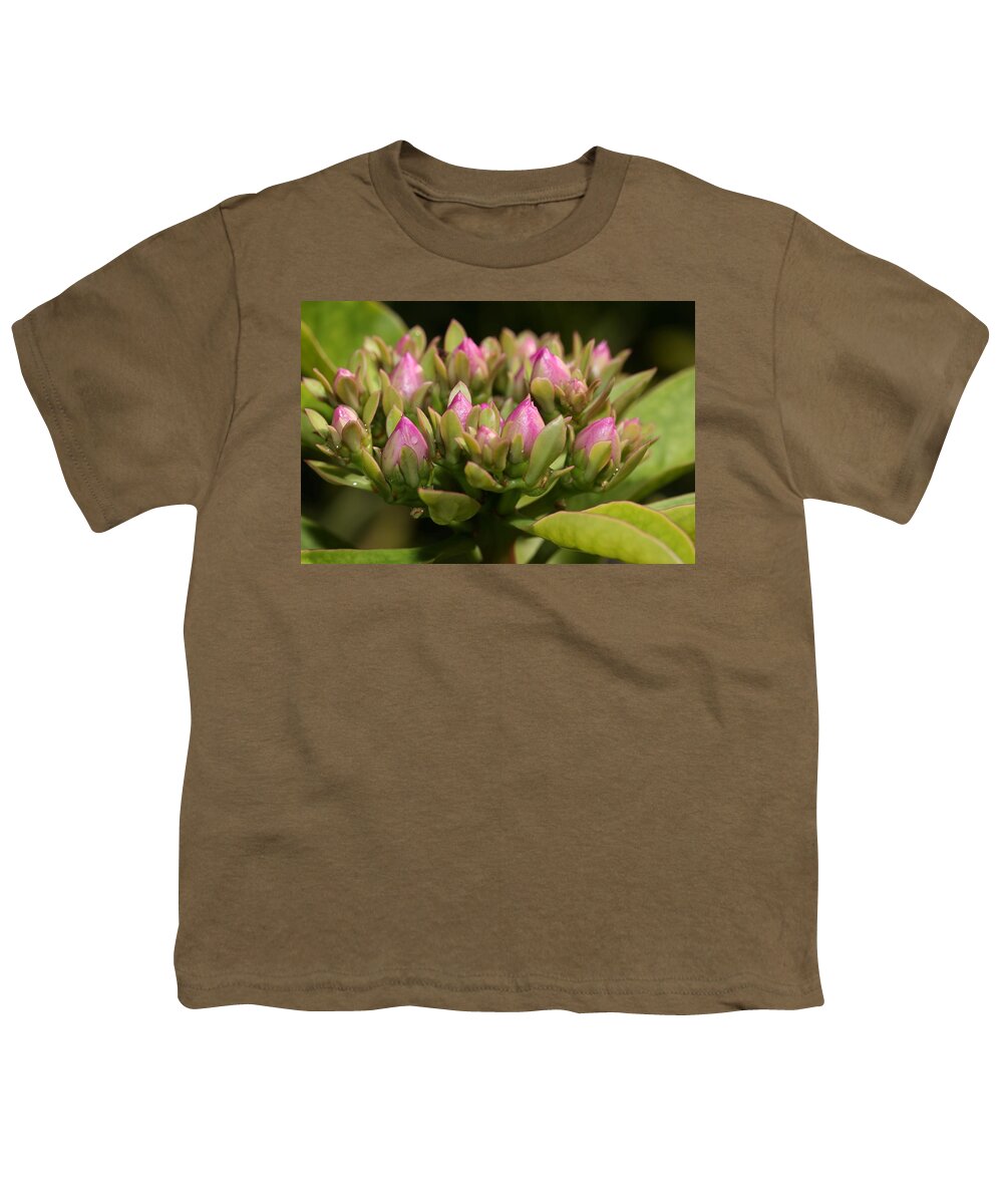 Rose Cactus Youth T-Shirt featuring the photograph Rose Cactus by Mingming Jiang