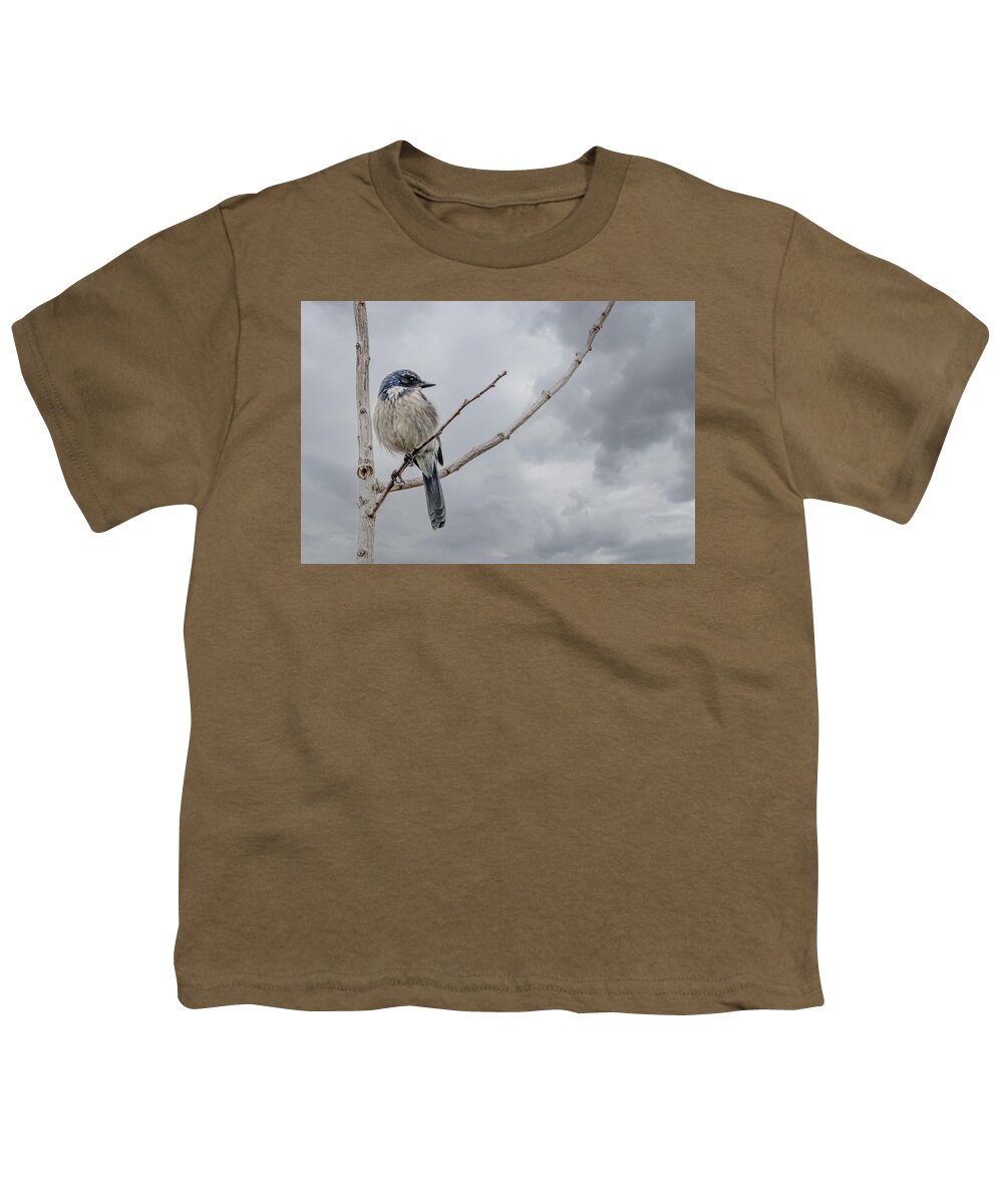 Jay Youth T-Shirt featuring the photograph Scrub Jay by Jerry Cahill
