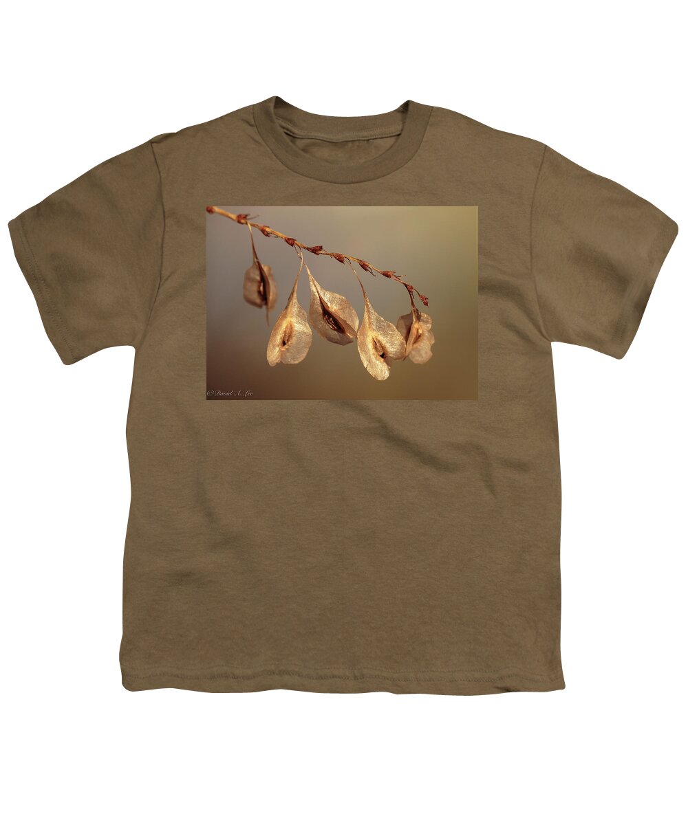 Flowers Youth T-Shirt featuring the photograph Seed Pods by David Lee
