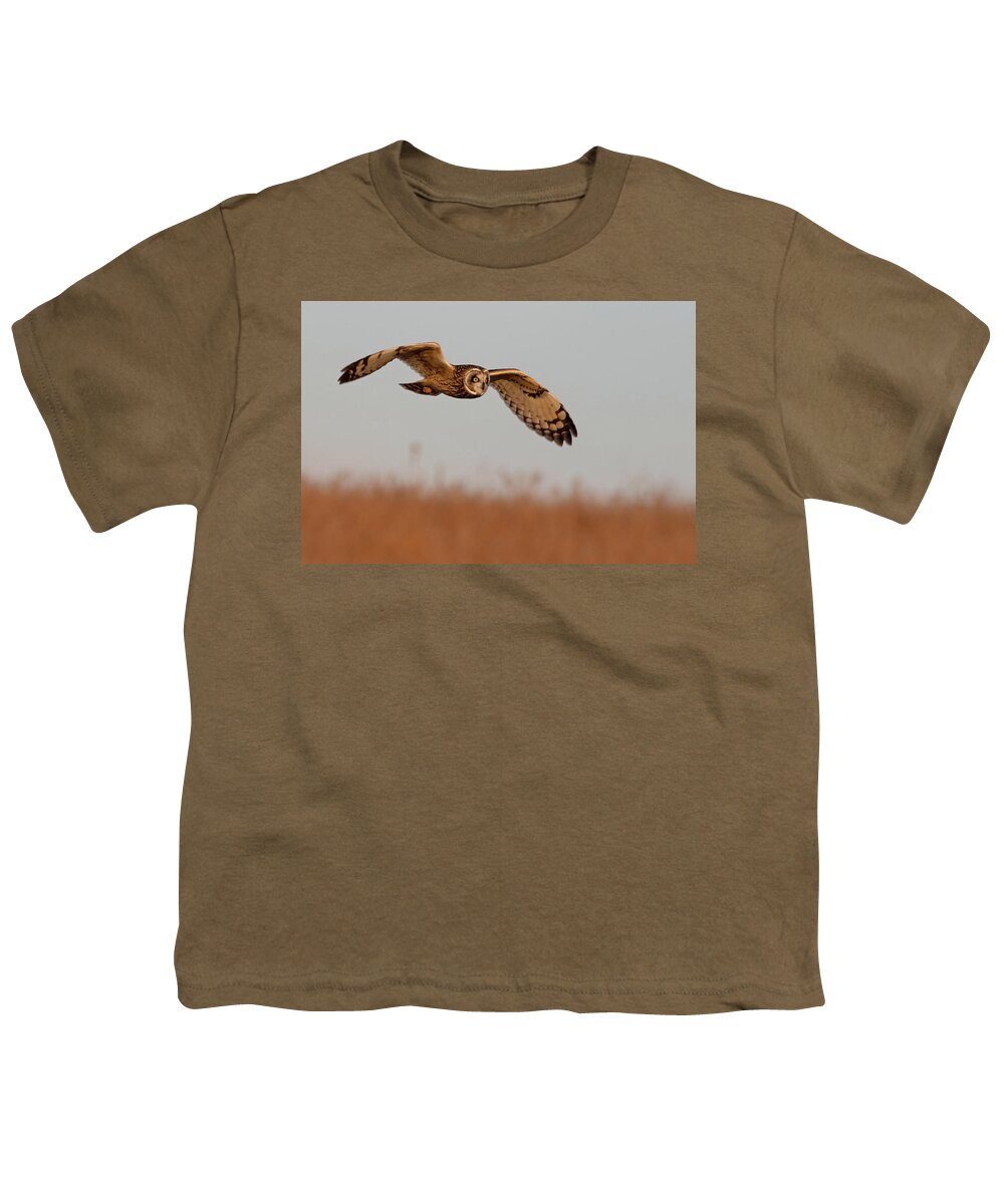 Owl Youth T-Shirt featuring the photograph Short-eared Owl on the Tallgrass Prairie #1 by Mindy Musick King