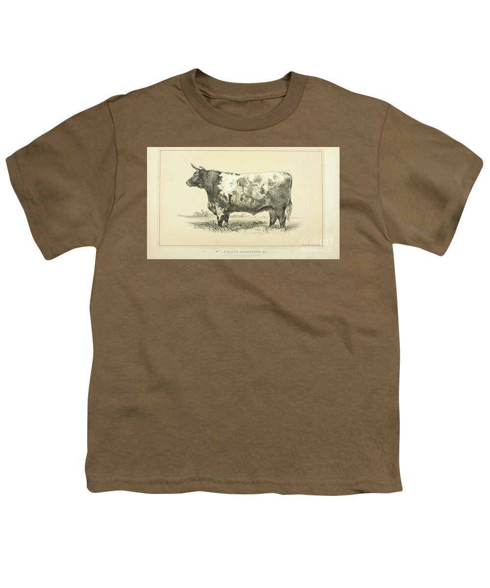 Shorthorn Youth T-Shirt featuring the photograph Shorthorn ox q1 by Historic illustrations
