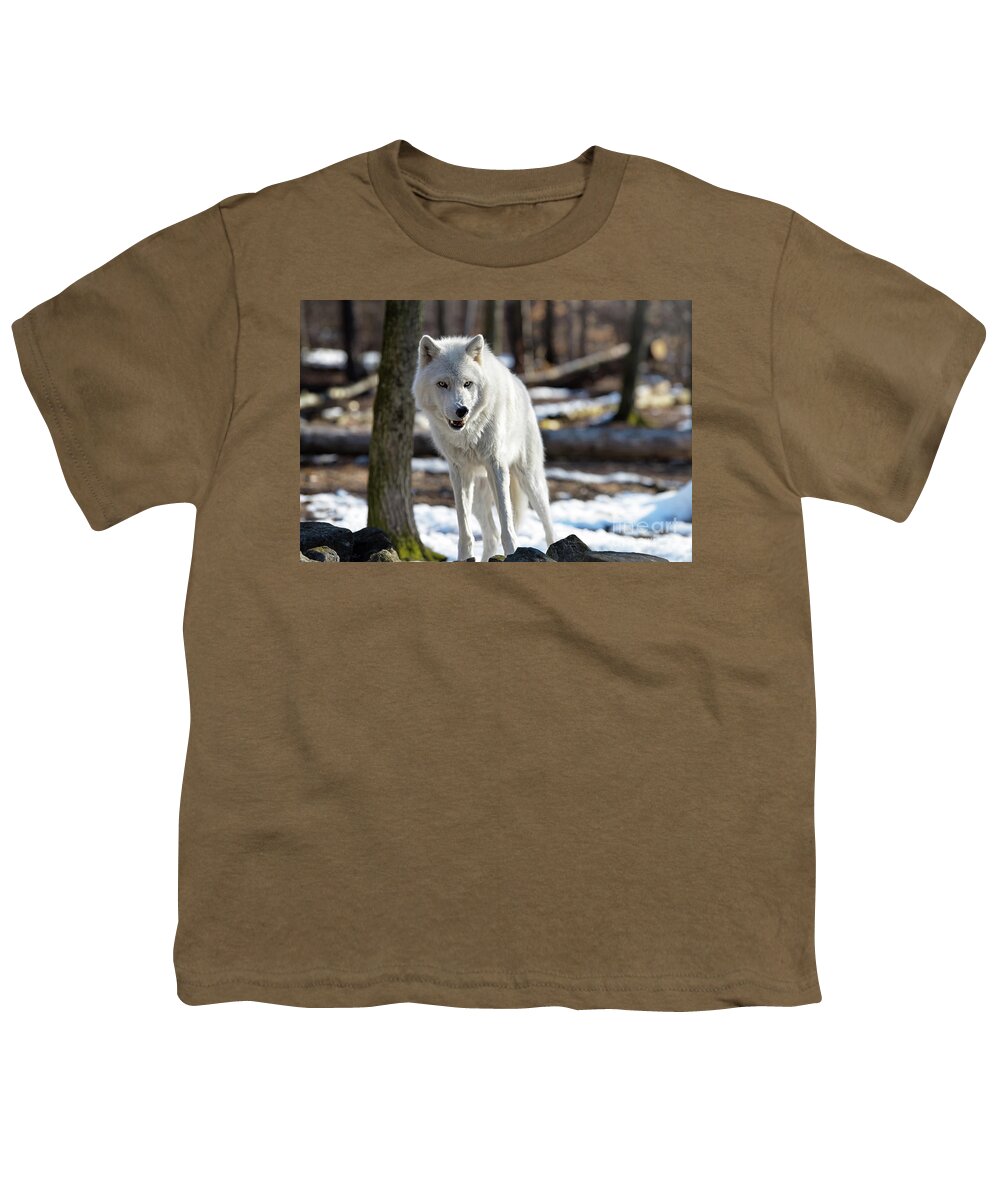 Winter Youth T-Shirt featuring the photograph Snarling White Wolf by Rehna George