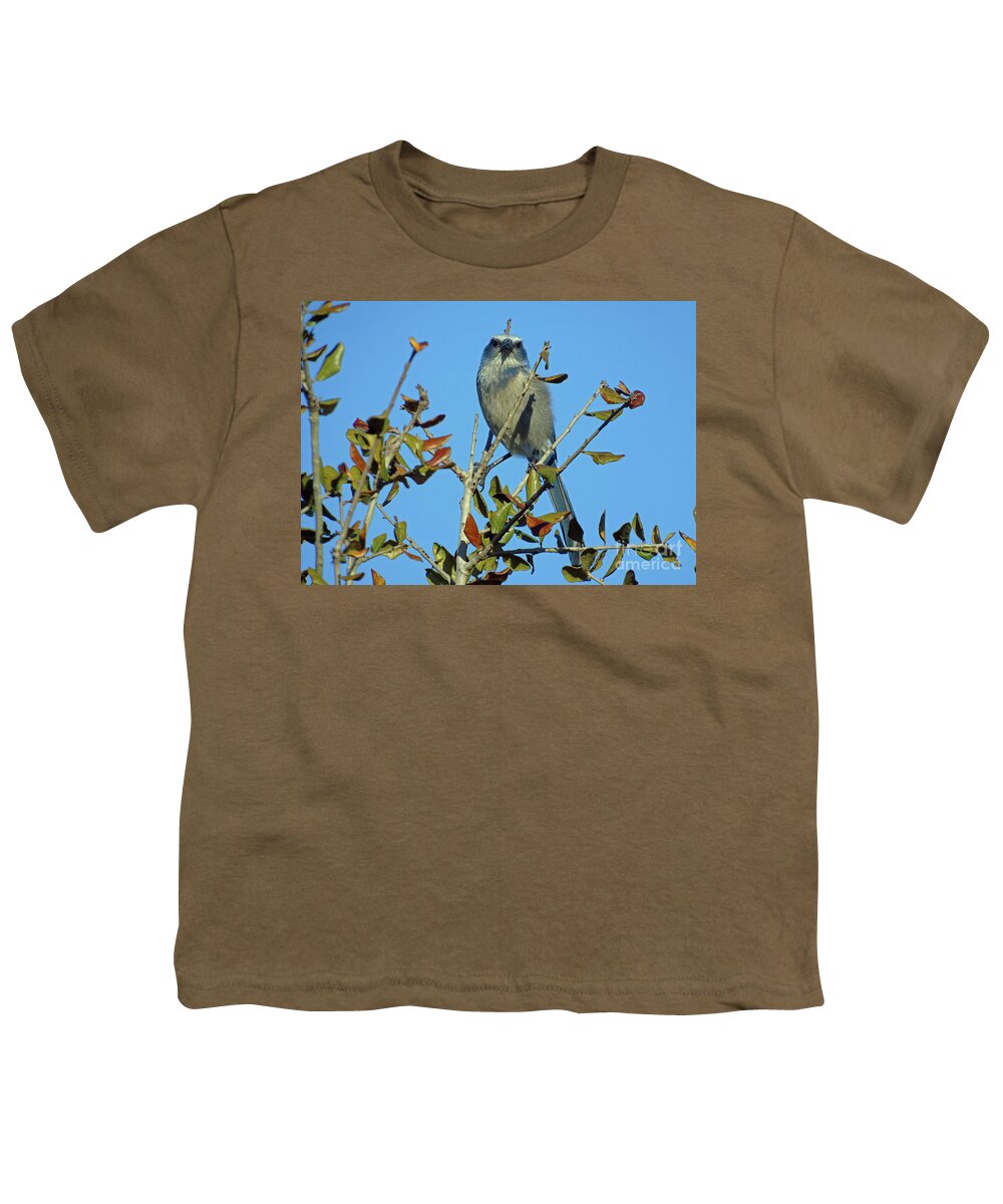 Scrub Youth T-Shirt featuring the photograph Some Serious Scrub Jay Attitude by D Hackett