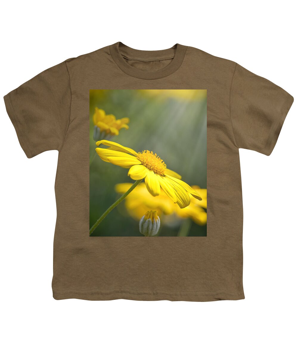 Background Youth T-Shirt featuring the photograph Spring Bloom by Rick Nelson