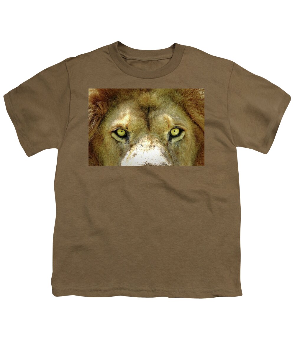 Lion Youth T-Shirt featuring the photograph Stare Down by Lens Art Photography By Larry Trager