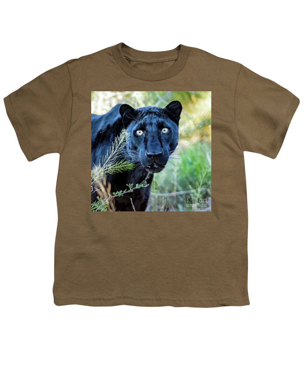 Wildlife Youth T-Shirt featuring the photograph Stare Down by Tom Watkins PVminer pixs