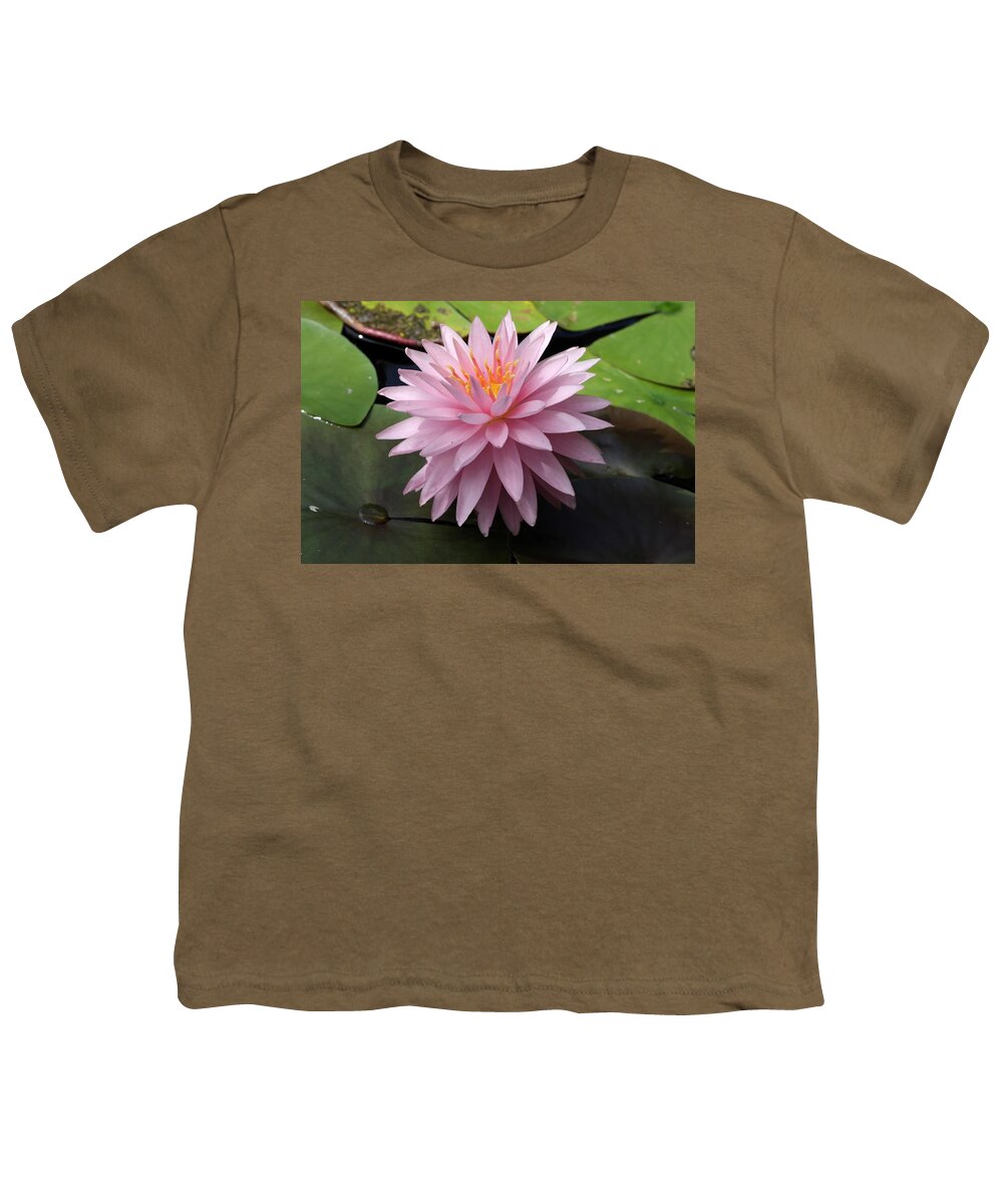 Water Lily Youth T-Shirt featuring the photograph Starry Water Lily by Mingming Jiang