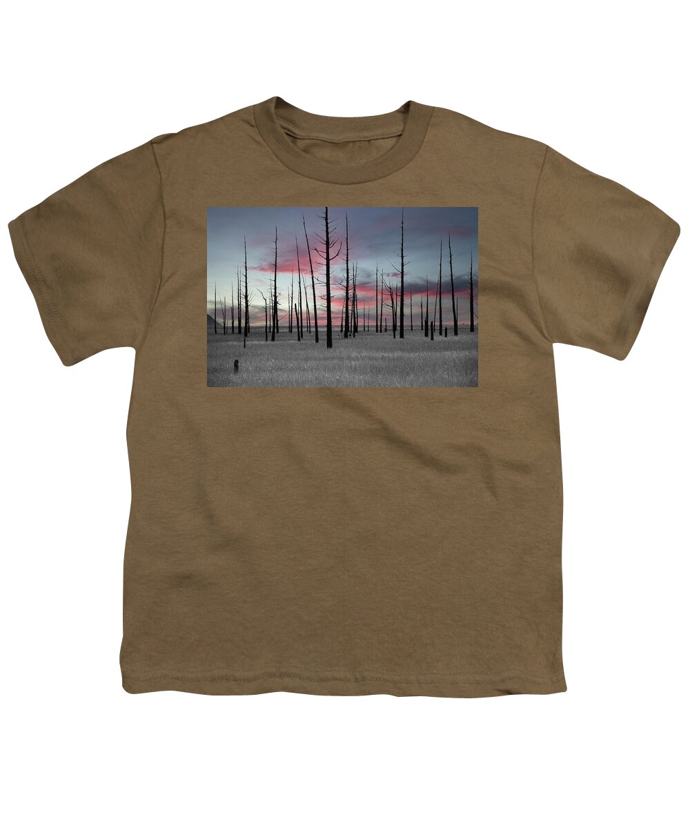Art Youth T-Shirt featuring the photograph Sunset in the Cedar Swamp by Louis Dallara