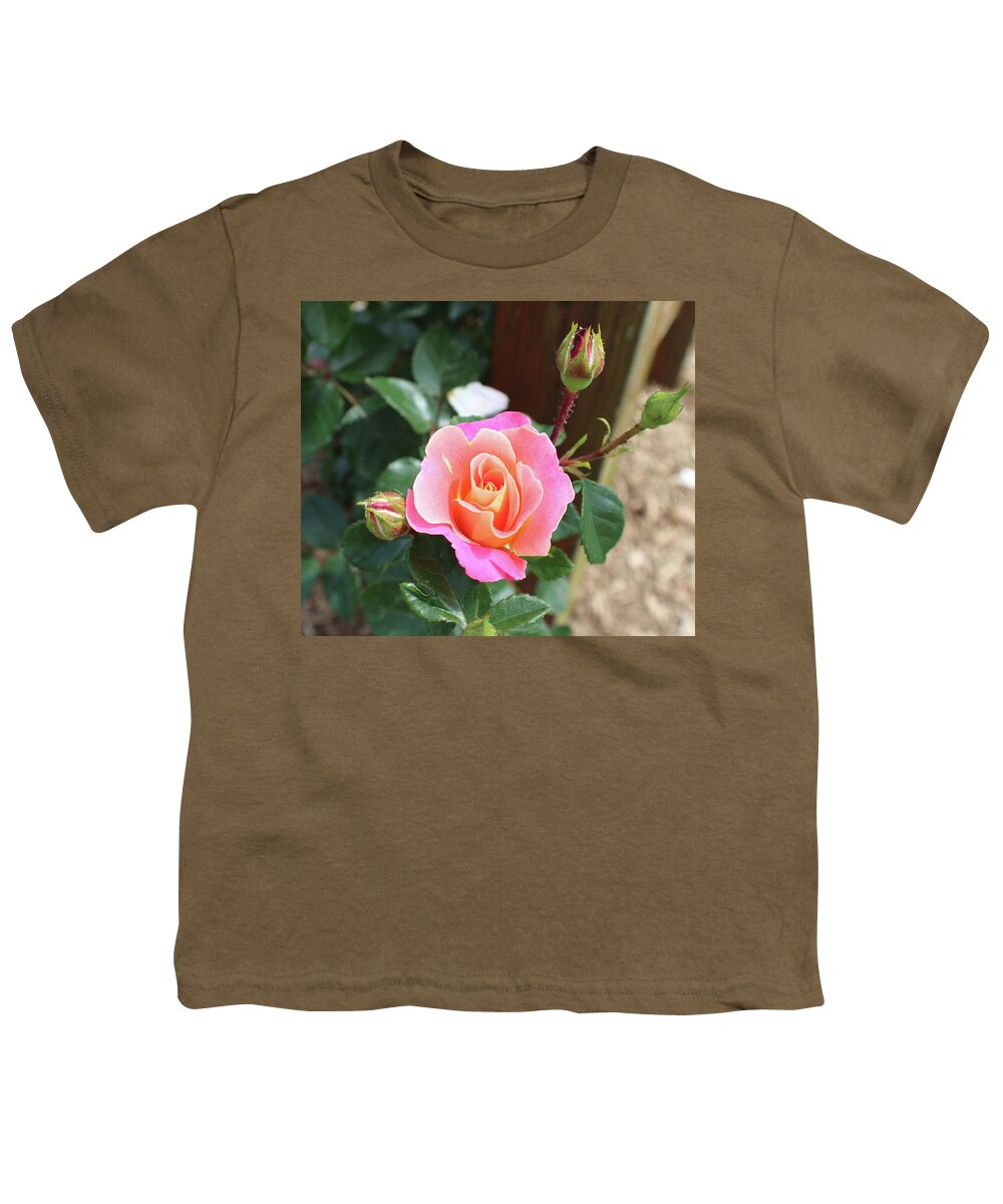 Ombre Youth T-Shirt featuring the photograph Sunset Ombre Rose by K P