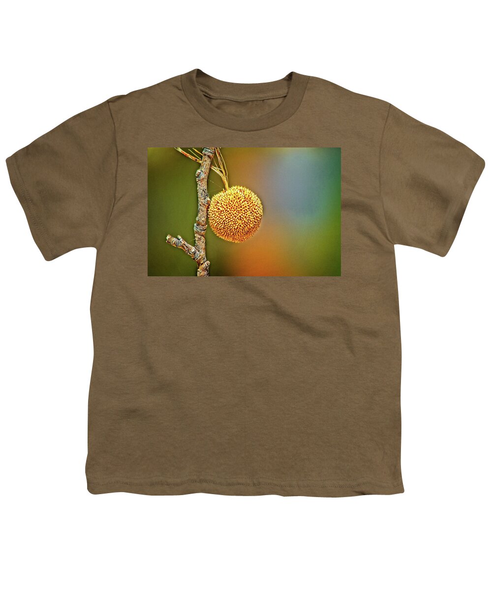Growing Youth T-Shirt featuring the photograph Sycamore Seed Ball by David Desautel
