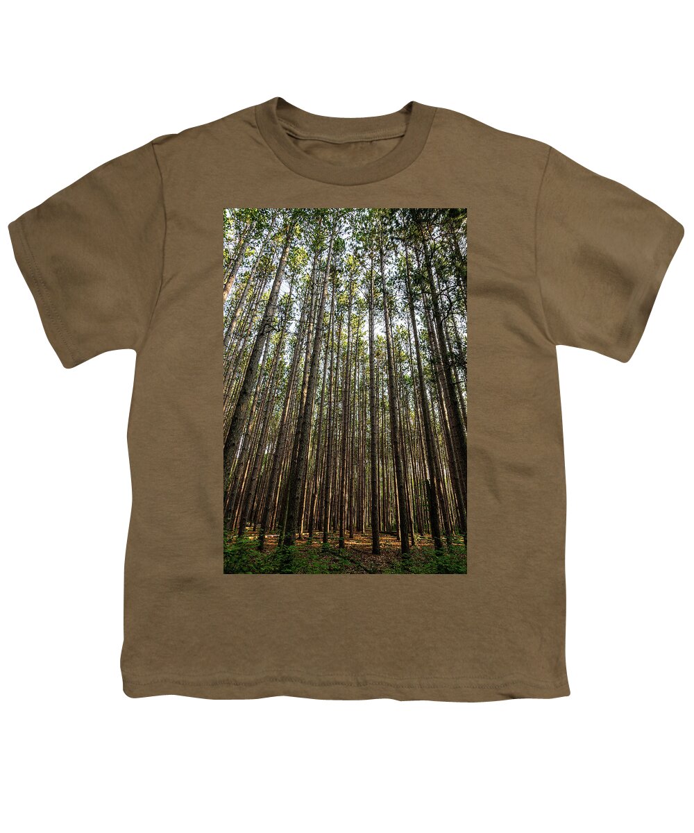 Trees Youth T-Shirt featuring the photograph Tall Red Pine Forest by Dale Kincaid