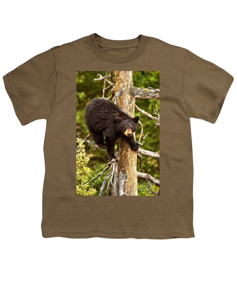 Black Bears Youth T-Shirt featuring the photograph The Aerial Sniffer by Adam Jewell