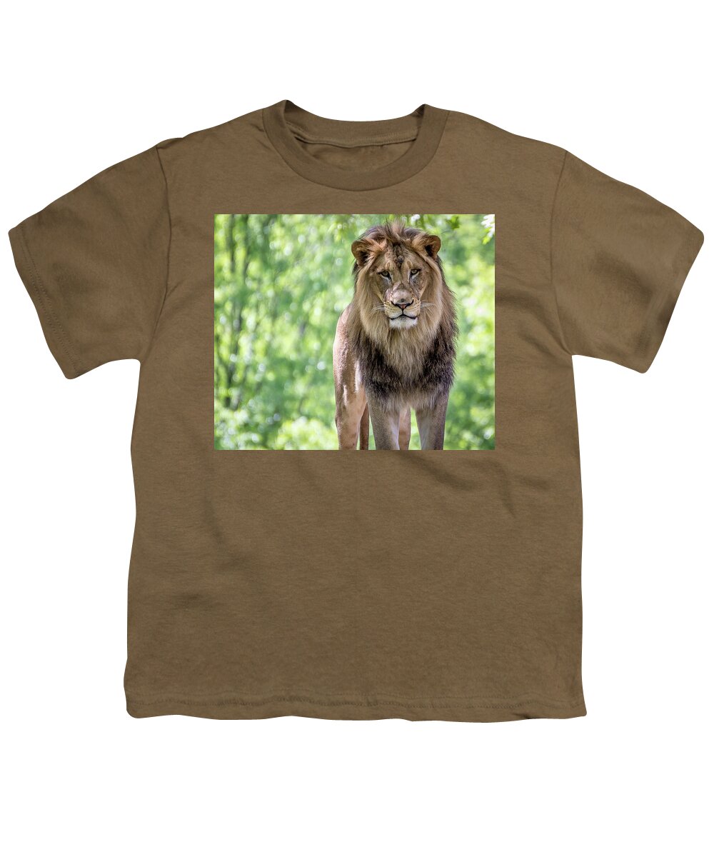 Lion Youth T-Shirt featuring the photograph The king by Robert Miller