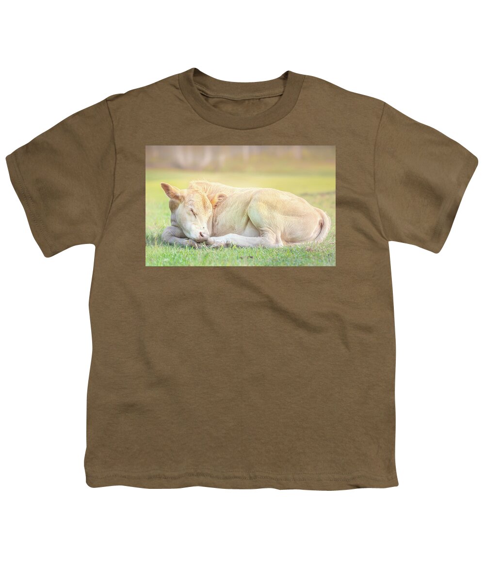 Calf Youth T-Shirt featuring the photograph The Sleeping Calf by Jordan Hill