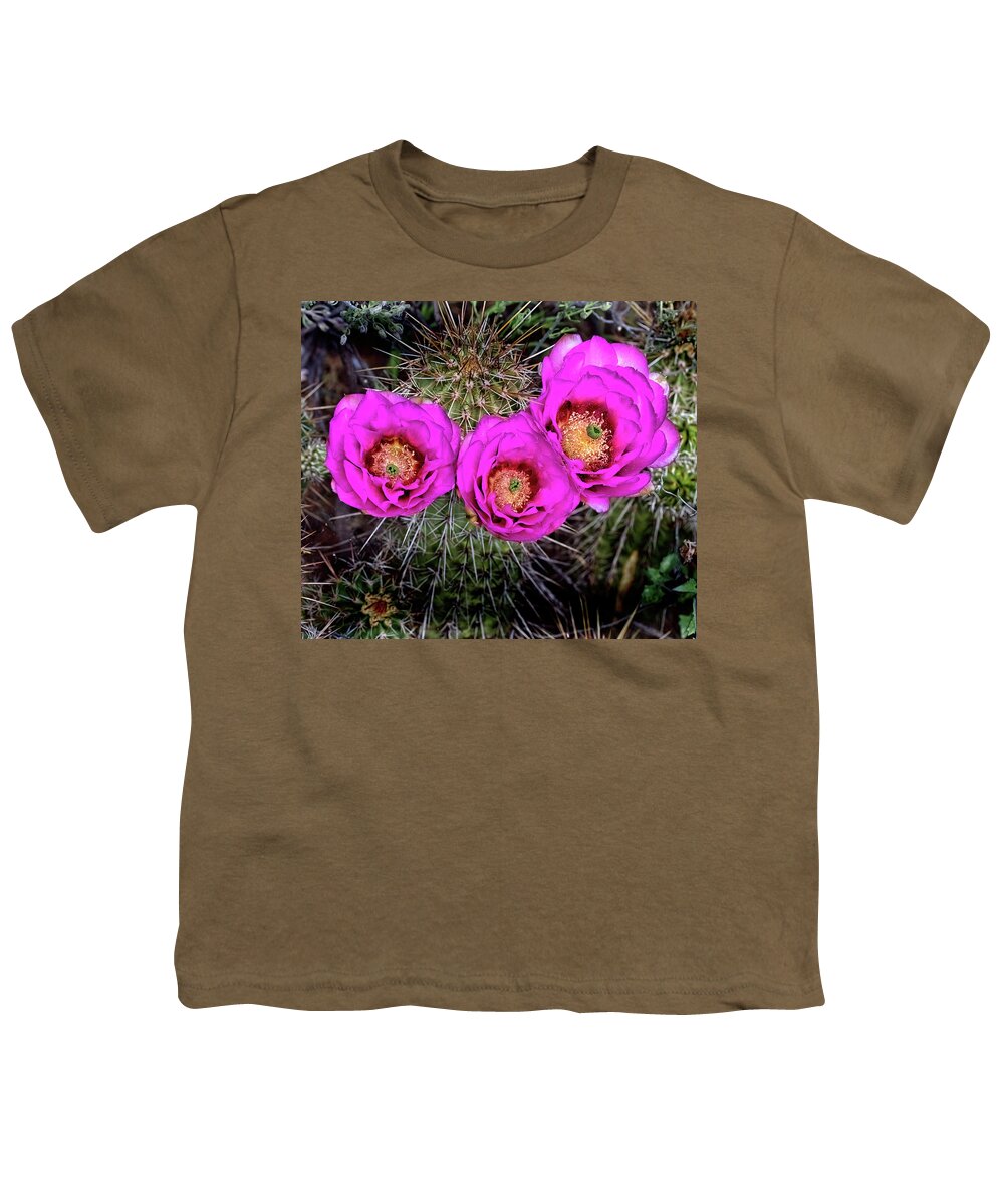 Cactus Youth T-Shirt featuring the photograph Three Cactus Blossoms by Bob Falcone