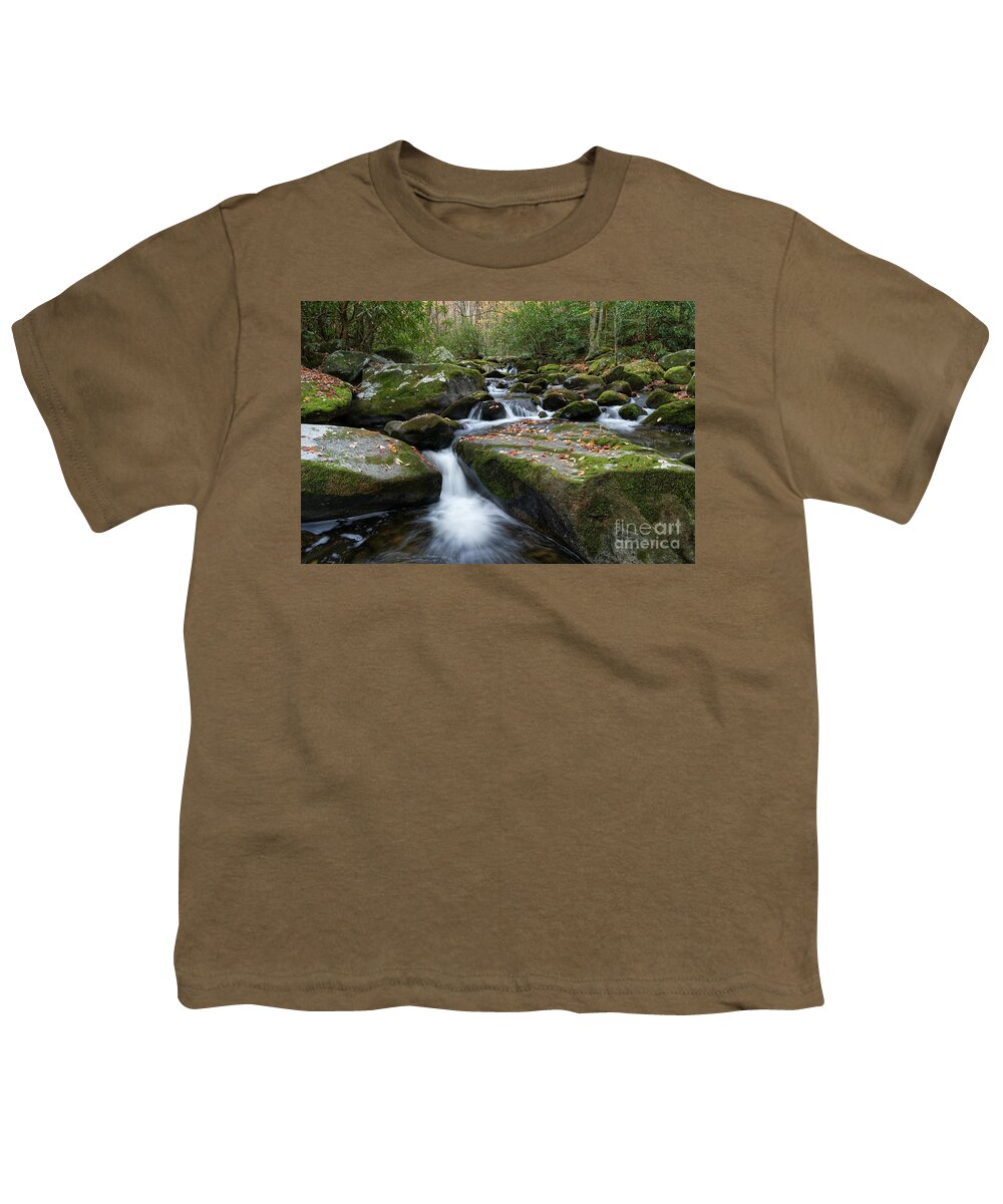 Smoky Mountains Youth T-Shirt featuring the photograph Thunderhead Prong 28 by Phil Perkins