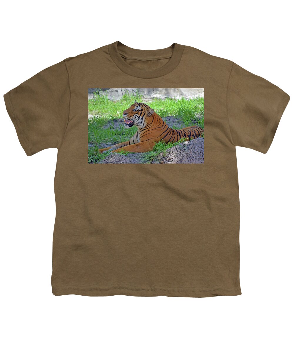 Photograph Youth T-Shirt featuring the photograph Tiger by Larah McElroy