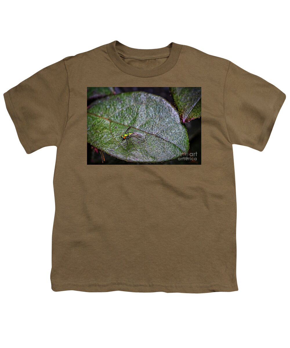Insects Youth T-Shirt featuring the photograph Tiny World 5 by DB Hayes