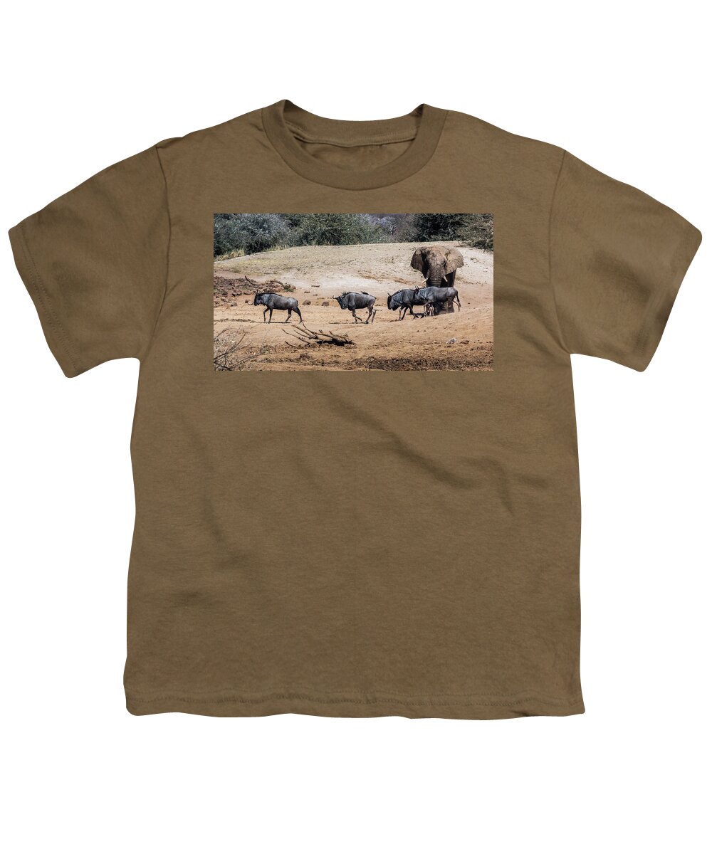  Youth T-Shirt featuring the photograph Trafic at the waterhole by Claudio Maioli