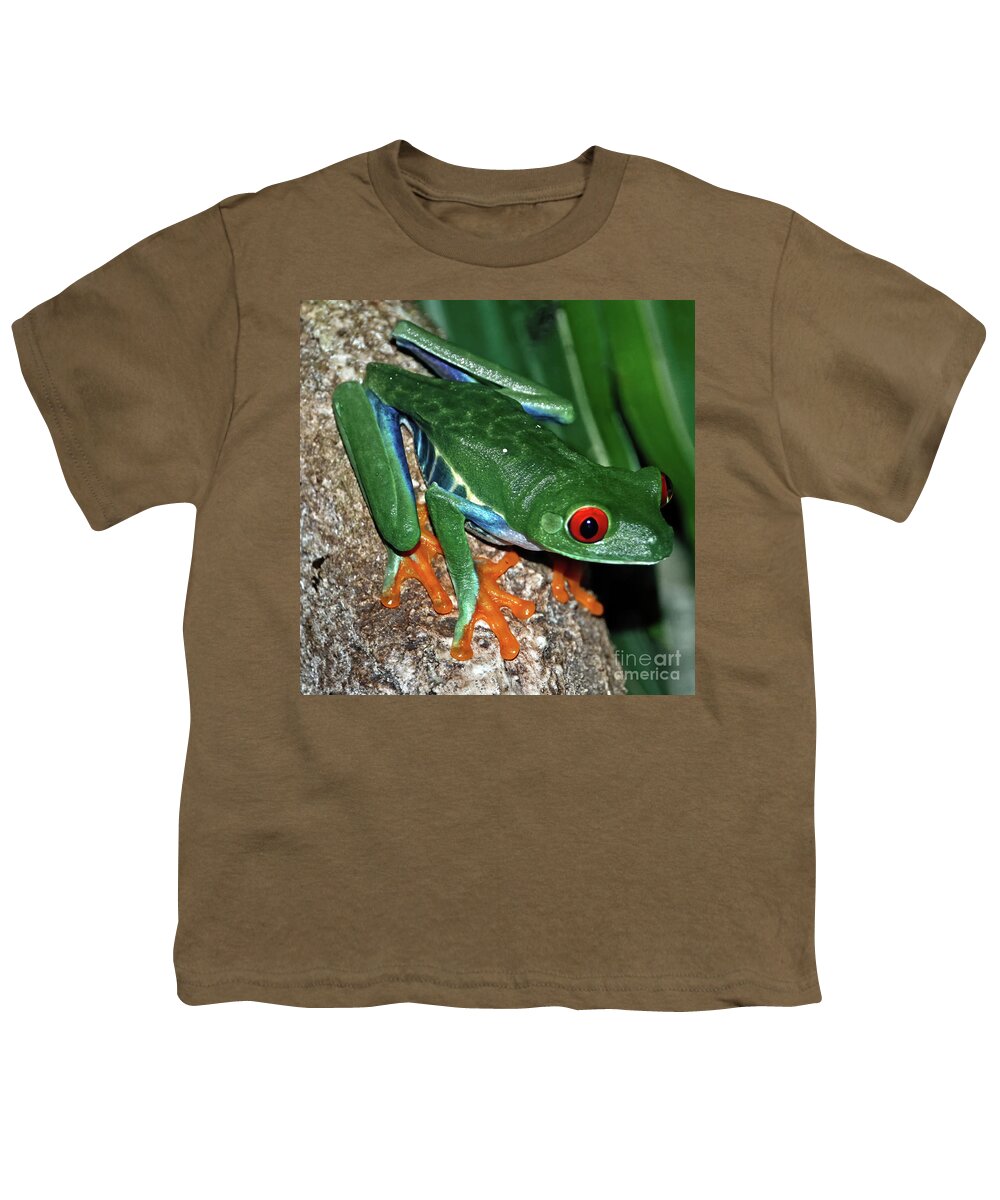 Wildlife Youth T-Shirt featuring the photograph Tree Frog by Tom Watkins PVminer pixs