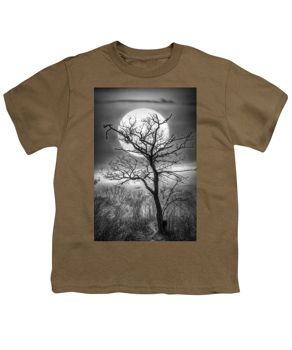 Andrews Youth T-Shirt featuring the photograph Tree in the Moon Appalachian Trail in Black and White by Debra and Dave Vanderlaan