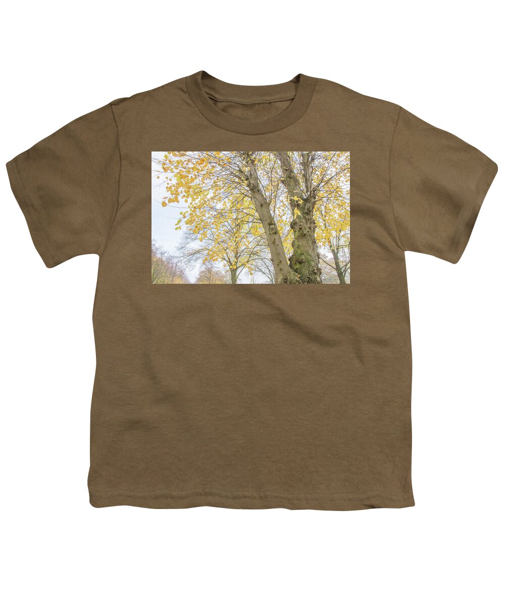 Trent Park Youth T-Shirt featuring the photograph Trent Park Trees Fall 15 by Edmund Peston