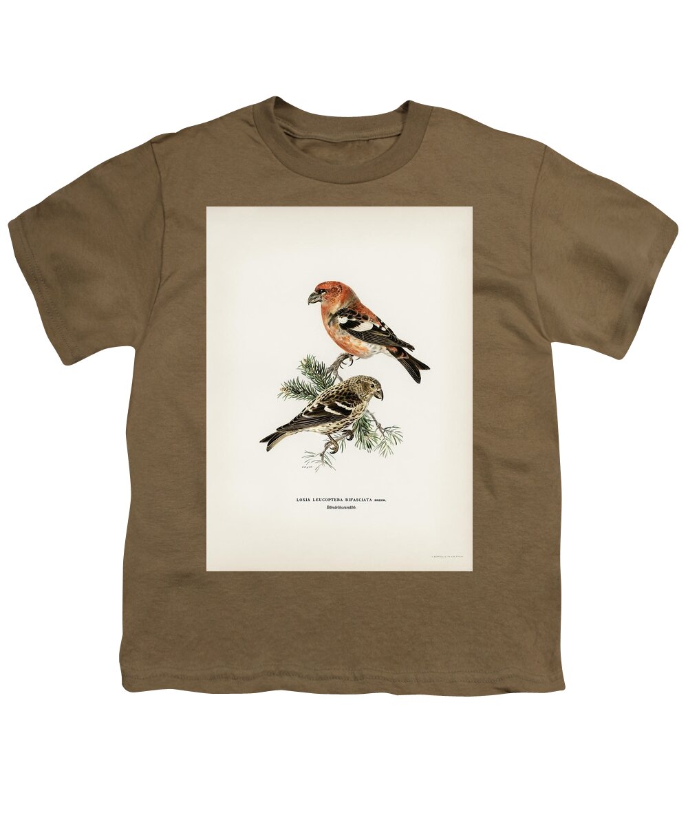 Abstract Youth T-Shirt featuring the painting Two-barred crossbill Loxia leucoptera bifasciata illustrated by the von Wright brothers by Les Classics