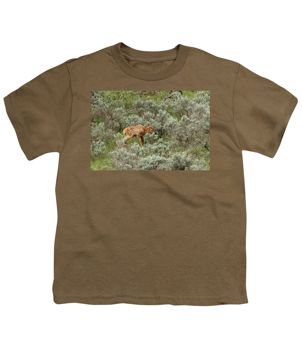 Elk Youth T-Shirt featuring the photograph Unsteady by Ronnie And Frances Howard