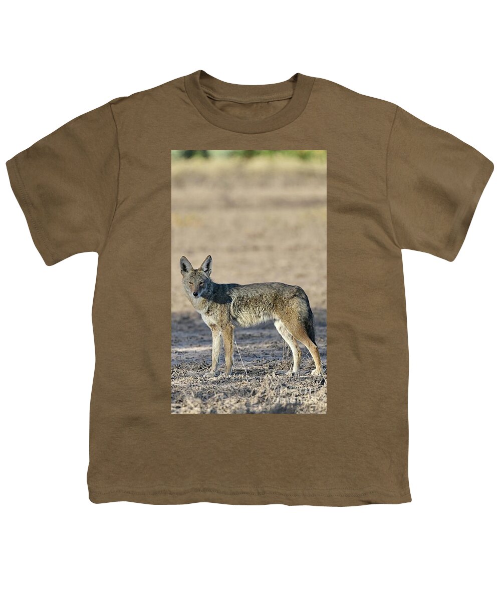 Coyote Youth T-Shirt featuring the digital art Watchful Eye by Tammy Keyes