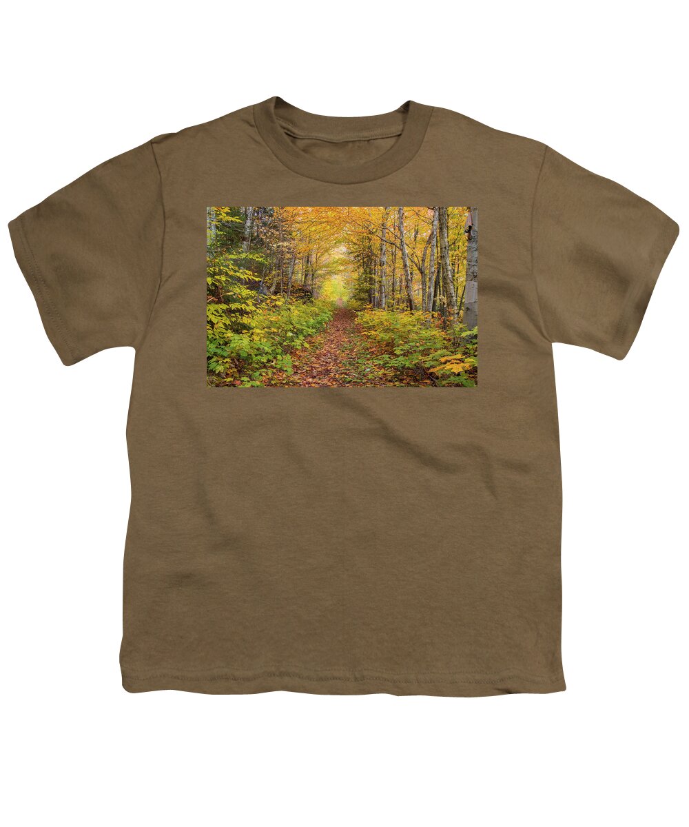 Waterville Youth T-Shirt featuring the photograph Waterville Valley Foliage Path by White Mountain Images