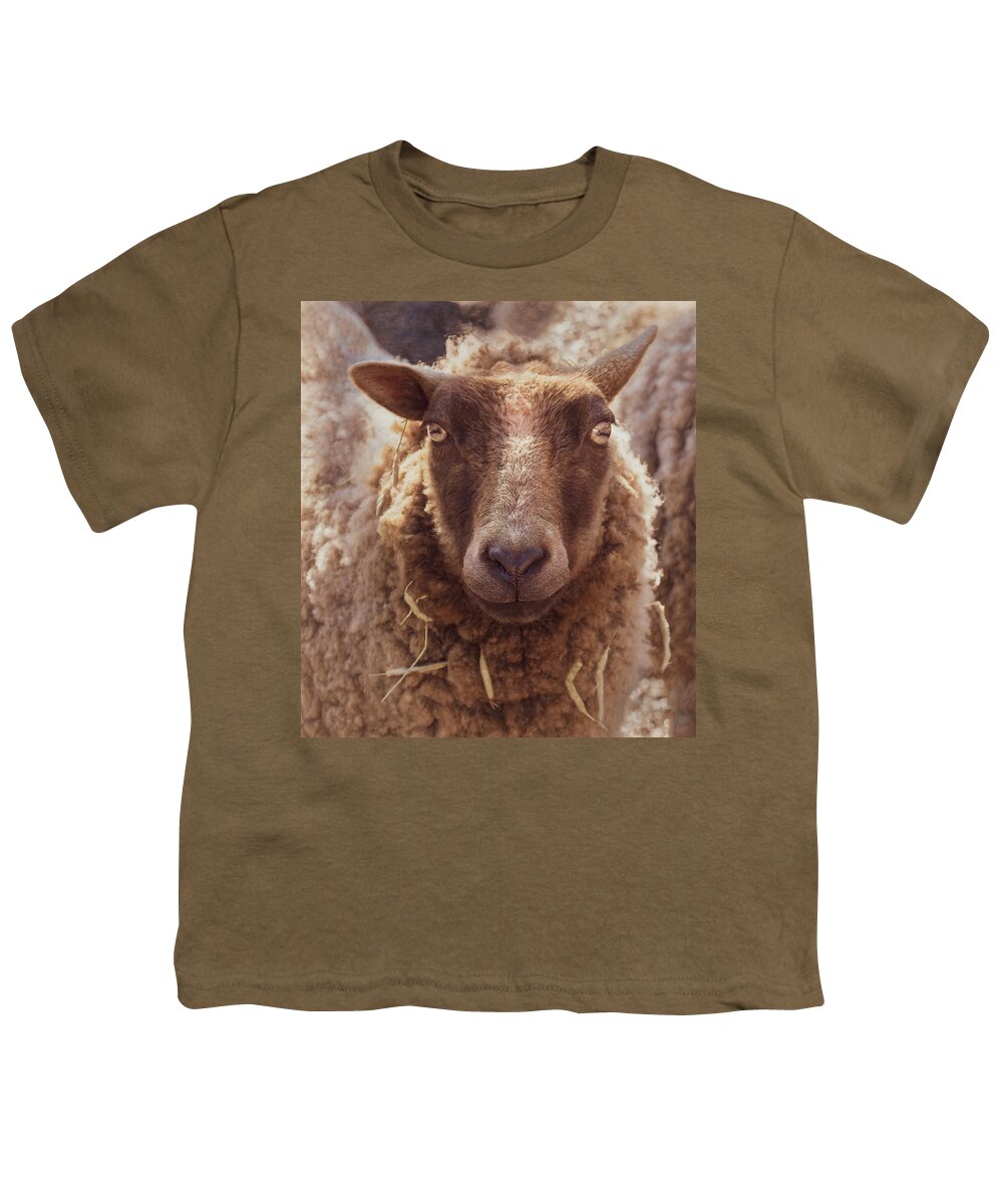 Farm Animal Youth T-Shirt featuring the photograph Well Hello There by Sylvia Goldkranz