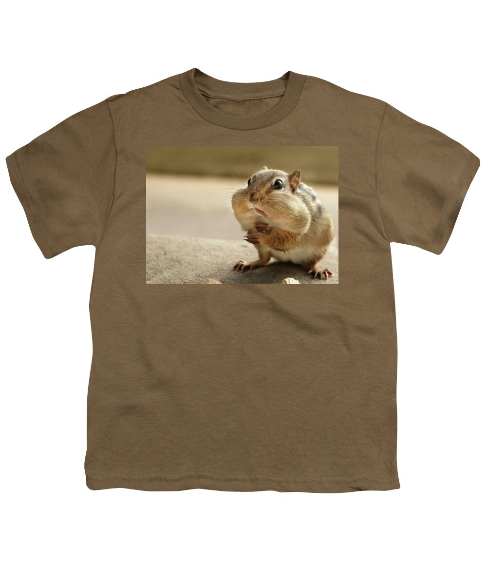 Chipmunk Youth T-Shirt featuring the photograph Who Me by Lori Deiter