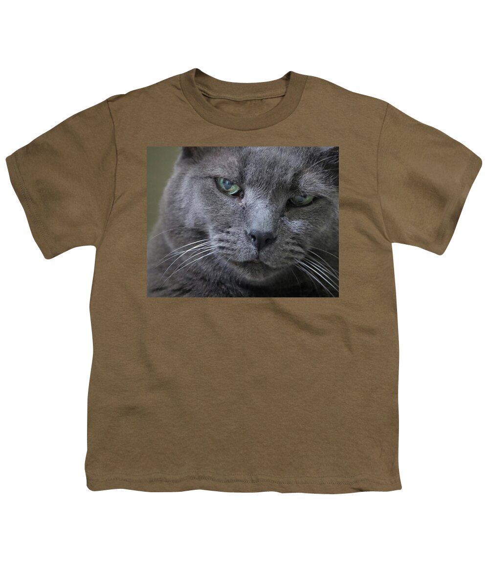 Cat Youth T-Shirt featuring the photograph Wise Old Cat by M Kathleen Warren