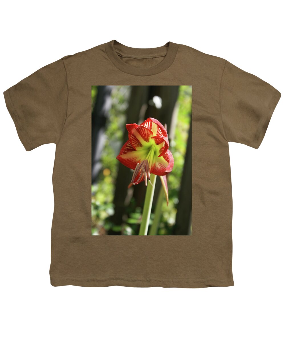  Youth T-Shirt featuring the photograph Yellow and Red Amaryllis by Heather E Harman