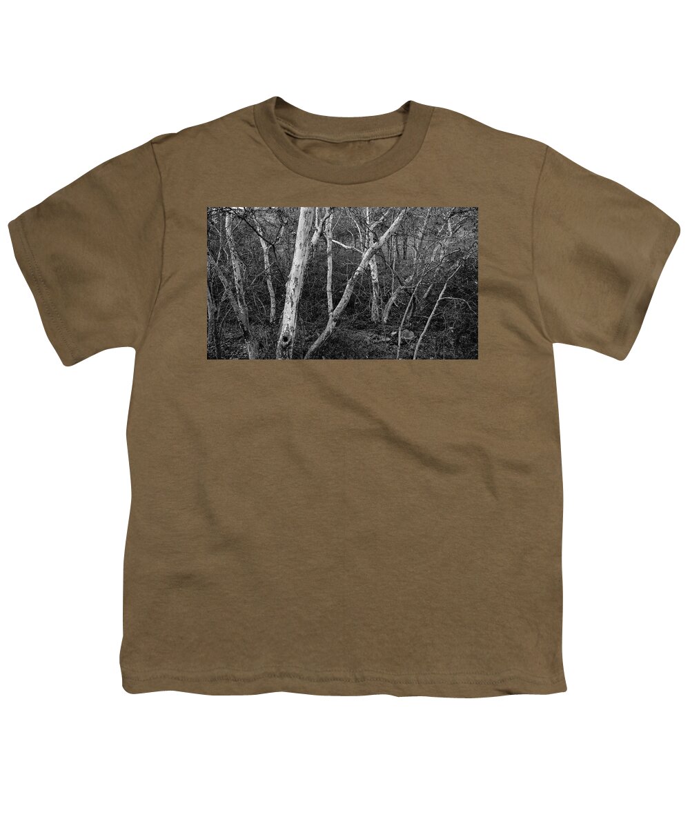 Yokohl Creek Youth T-Shirt featuring the photograph Yokohl Creek Sycamore Trees by Brett Harvey