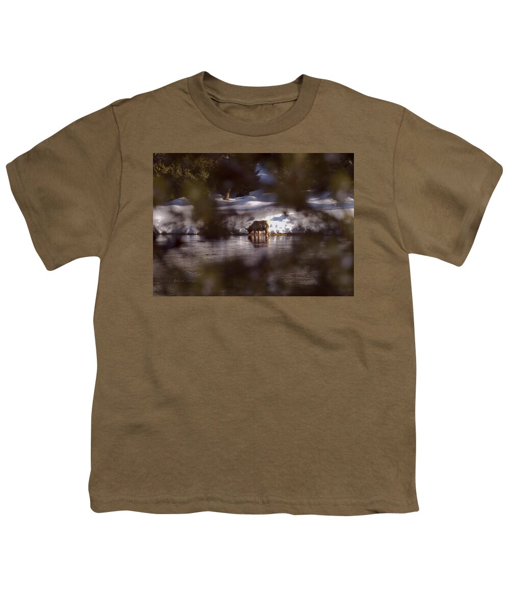 Elk Youth T-Shirt featuring the photograph Young Elk Cow in River by Kae Cheatham