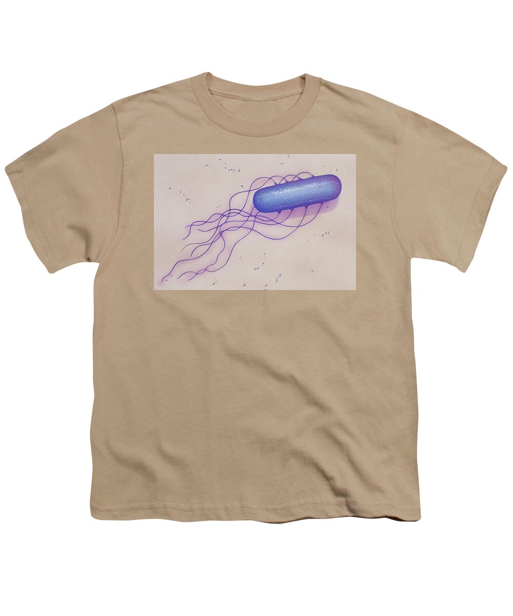 Aerobic Youth T-Shirt featuring the photograph Bacillus Sp #1 by Chris Bjornberg