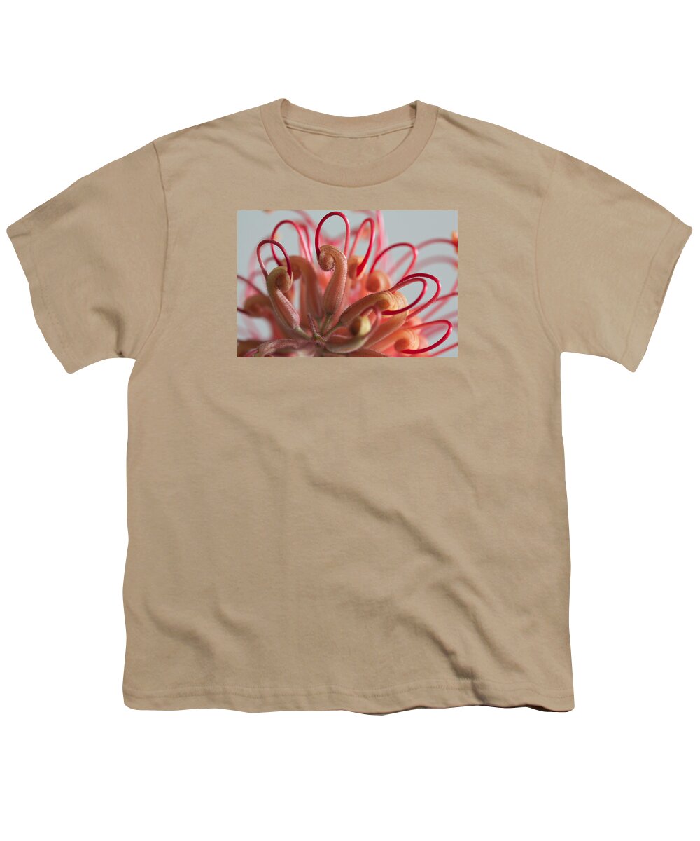 Grevillea Youth T-Shirt featuring the photograph Curves #2 by Shirley Mitchell