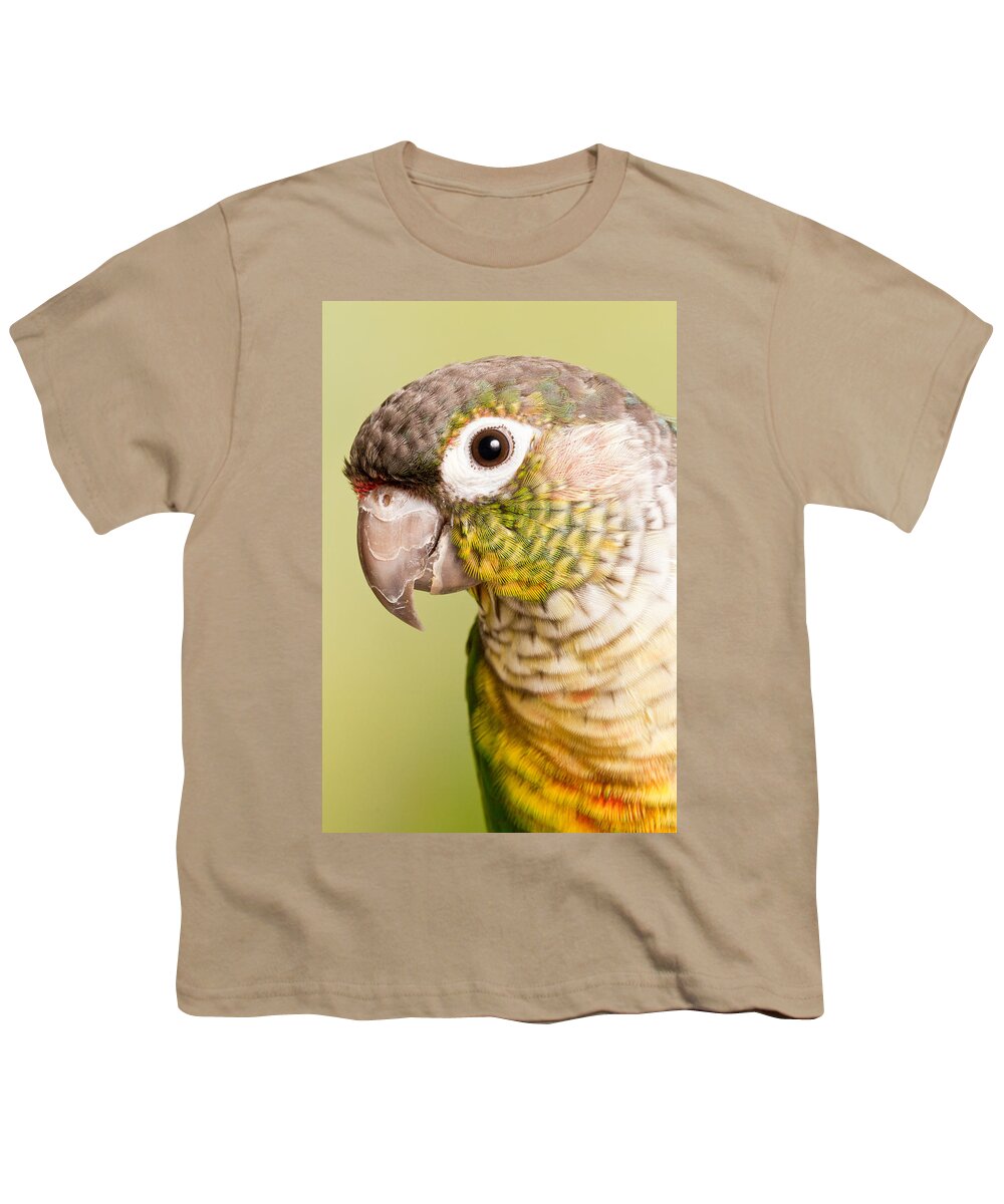 Green-cheeked Conure Youth T-Shirt featuring the photograph Green-cheeked Conure Pyrrhura Molinae #1 by David Kenny