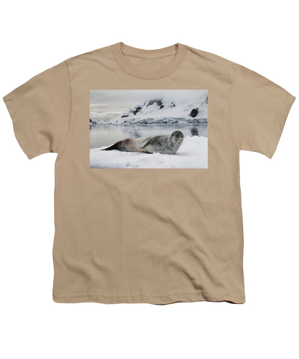 Feb0514 Youth T-Shirt featuring the photograph Leopard Seal On Ice Floe Paradise Bay #1 by Matthias Breiter