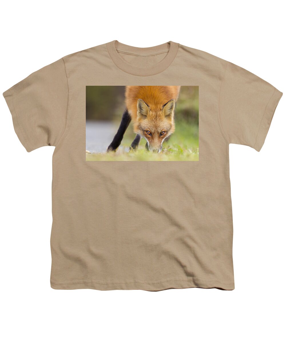 Wild Youth T-Shirt featuring the photograph Wild Eyes #1 by Mircea Costina Photography