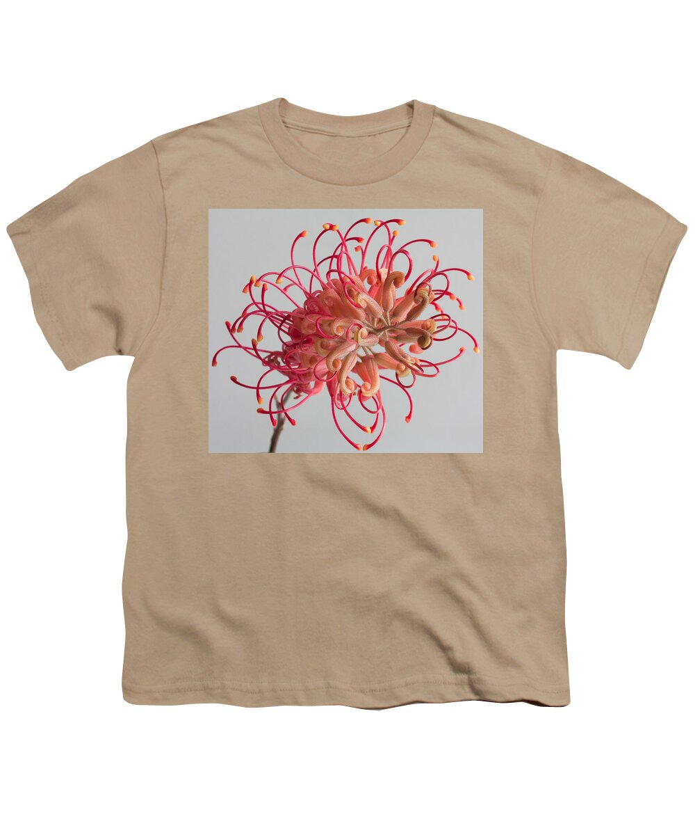 Grevillea Flower Youth T-Shirt featuring the photograph Grevillea flower #10 by Shirley Mitchell