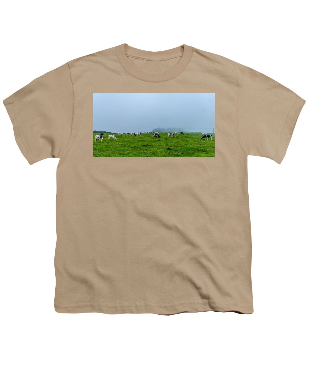 Cows In The Field Youth T-Shirt featuring the photograph Cows in the Field by Joseph Amaral