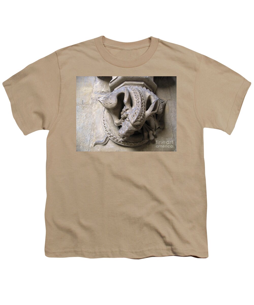 Dragon Youth T-Shirt featuring the photograph Angry Dragon by Denise Railey