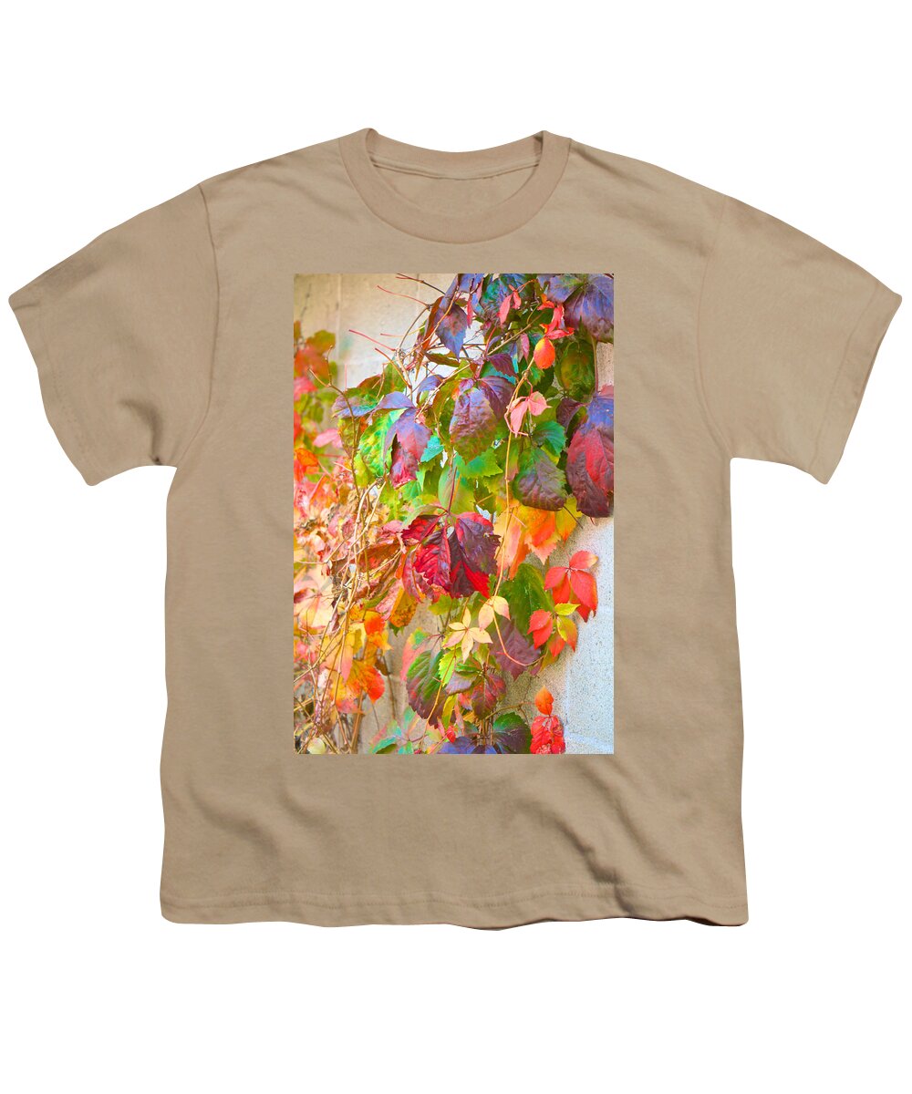 Autumn Youth T-Shirt featuring the photograph Autumn Colors of Virginia Creeper by Kristin Hatt