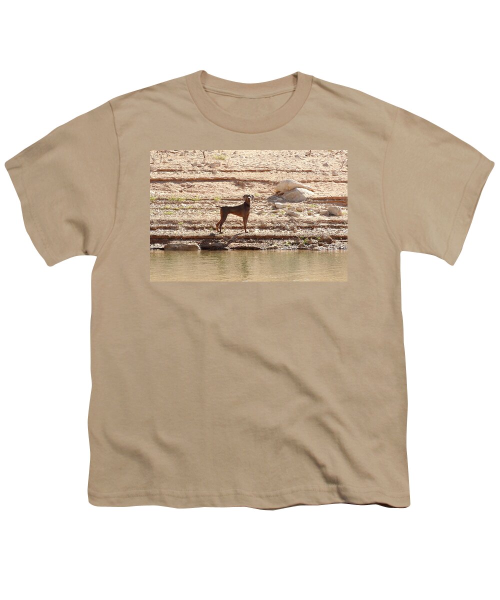 Landscape Youth T-Shirt featuring the photograph Bird Dog 2 by Julie Niemela