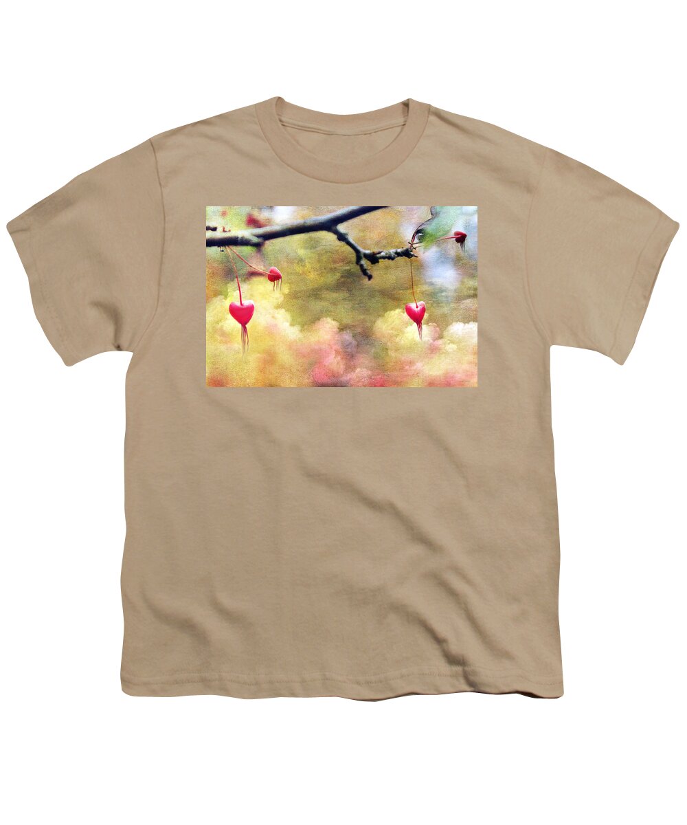 Bleeding Hearts Youth T-Shirt featuring the photograph Bleeding Hearts From Above by Linda Sannuti