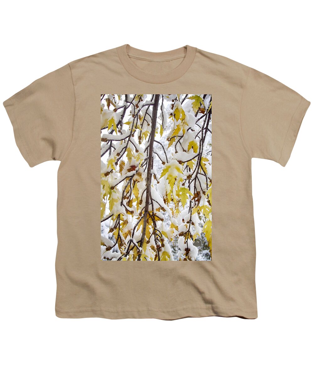 Tree Youth T-Shirt featuring the photograph Colorful Maple Tree Branches In The Snow 2 by James BO Insogna