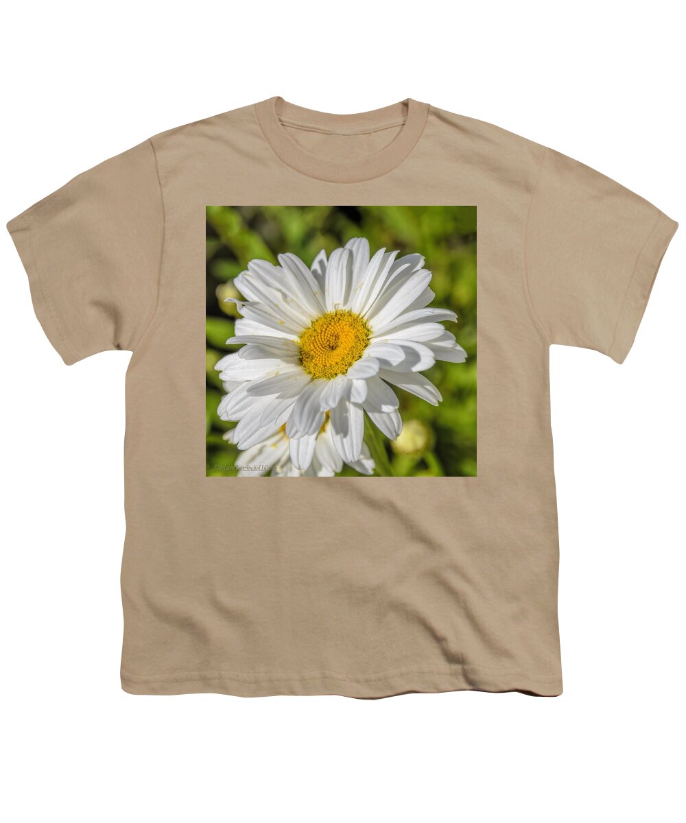 Daisies Youth T-Shirt featuring the photograph Daisy Daisy by LeeAnn McLaneGoetz McLaneGoetzStudioLLCcom